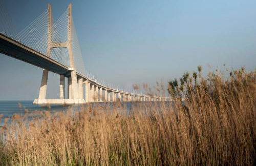 Casa do Ferro de Engomar - Foto 23