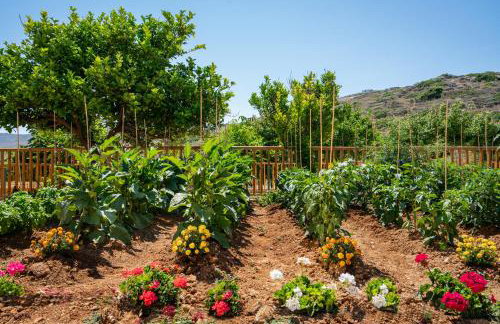 Villa Rodanthi - Chromatic Sunsets by etouri - Foto 47