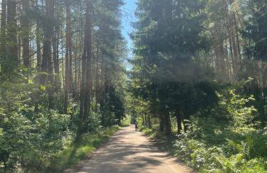 Między Brzozami - Foto 47