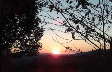 Ferienwohnung Sigi's Waldhaus - Foto 14