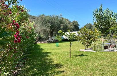 PargaLand Studios & Apartments - Photo 64