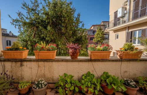 "Le Caraffe" Alatri - Alloggio per uso turistico - Foto 27