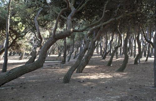 Lillananna Reload - Foto 23