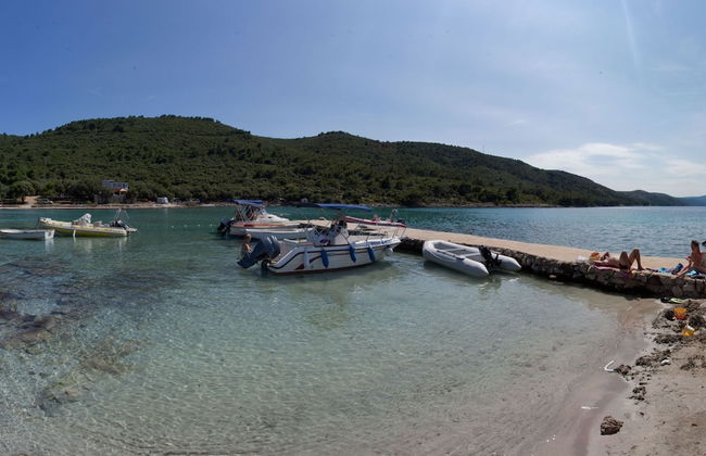 Apartments Toplak - Foto 43