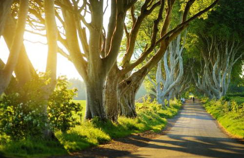 Ballapousta - Foto 39