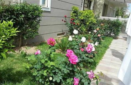 Maria's Rose Garden - Photo 29