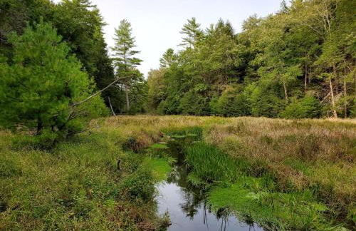 Eco-Friendly, Abstract Treehouse Surrounded by Wildlife and Hiking Trails For a Special Getaway in Sparrow Bush, New York - Foto 26
