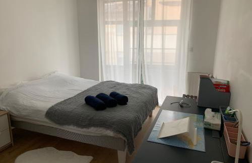 APPARTEMENT CENTRE VILLE AVEC TERRASSE ET PARKING SECURISE - Foto 6