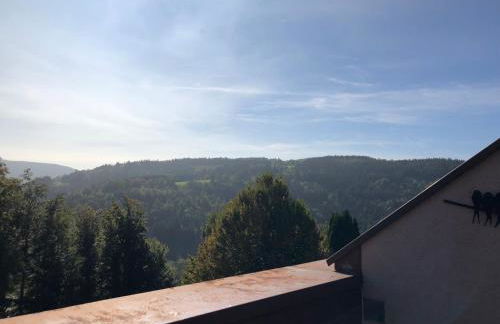 Duplex - Proche de Gérardmer - Foto 20