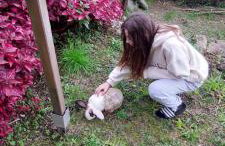 Cantinho da Inês Alojamento Local - Foto 29