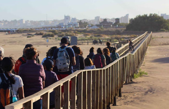 Mar del Plata Coastal Hiking Tour - Photo 7