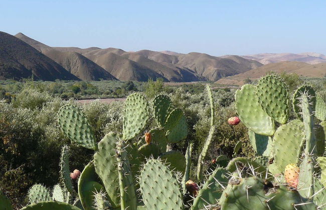 Excursión a Paradise Valley - Foto 7