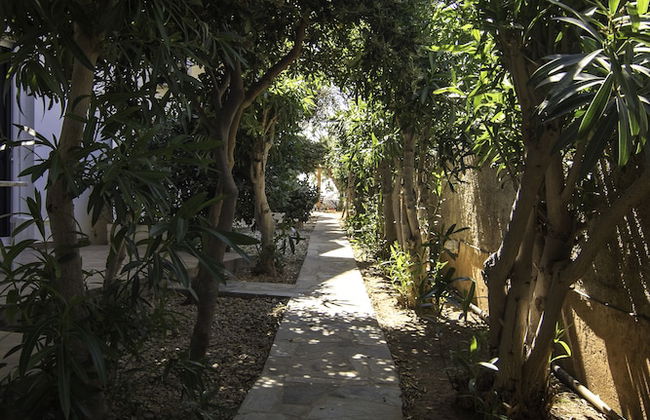 Sifis Studios - Foto 61