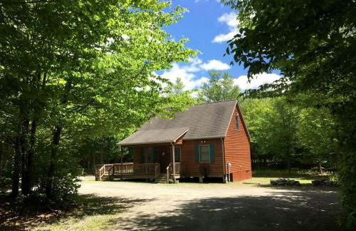 Secluded Cabin Nestled in the Mountains near the Tioga State Forest, Pennsylvania - Foto 27