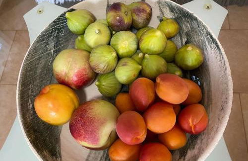 Villa Aura - Thymari - Foto 20