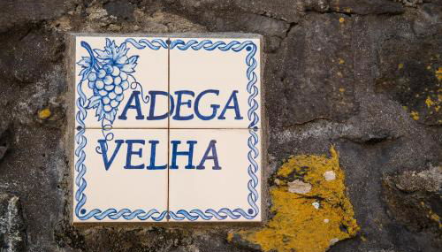 Adega Velha - Photo 2