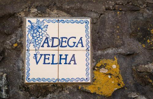 Adega Velha - Photo 2