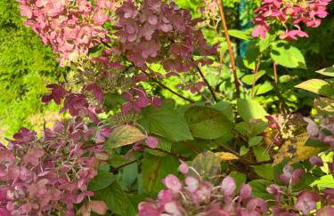 Przystanek Prawdowo - Foto 74