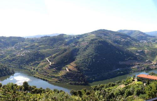 River View ate Terrus Winery - Foto 1