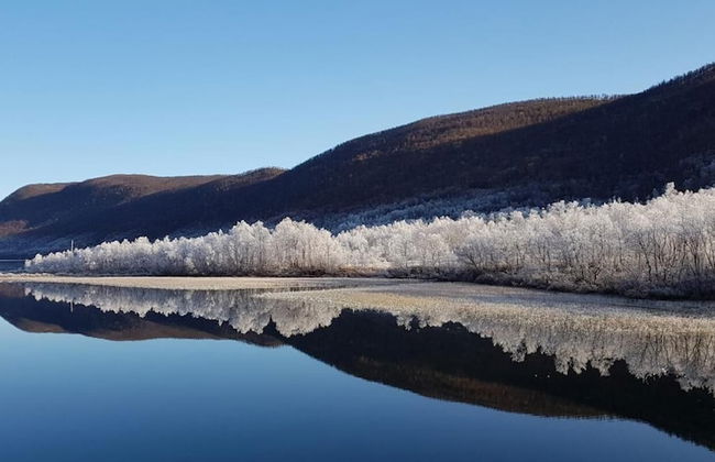 Elvestua House in Nature - Foto 30