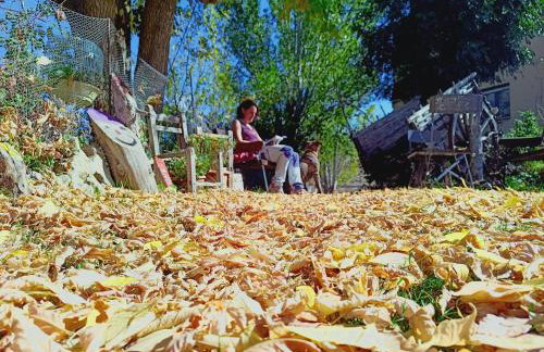 Casas Rurales Chon Alto Tajo - Foto 79