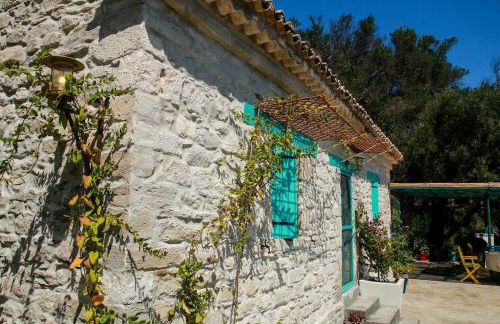 Apagio Othonoi Car Included - Foto 24