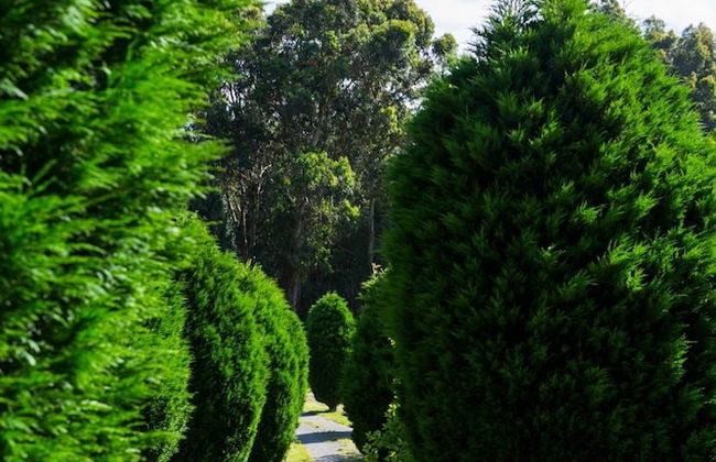 Casa Brais - Photo 33