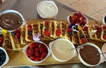 Gospodarstwo Agroturystyczne Dworek Andrzejówka - Foto 55