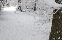 Alter Werkstatt - Foto 26