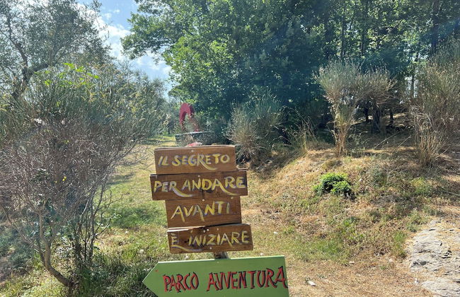 tenuta castel dell'aquila - Photo 53