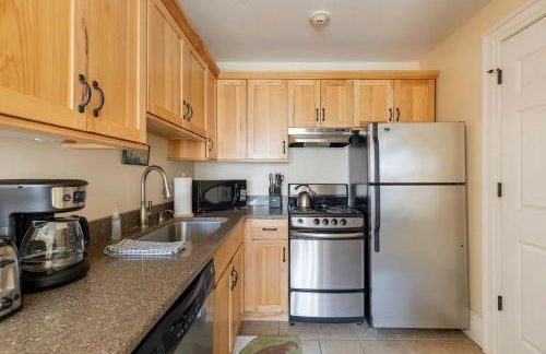 HISTORIC COMFY CONDO- Heart of Ellicottville, Self Checkin - Foto 5