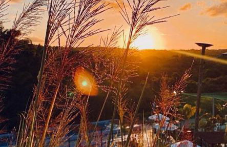 Mirantes Resort Mirantes Caminho do Mar - Foto 70