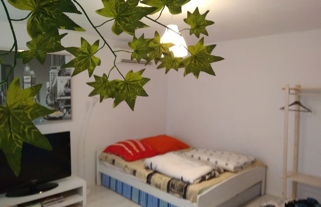 Apartament Jasny Noclegi Płock - Photo 1