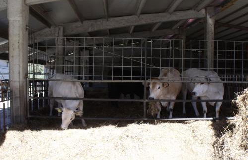 Agriturismo Podere Montese - Foto 74