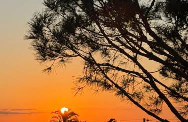 Voiles Blanches 123 By Avecoeur - Photo 18