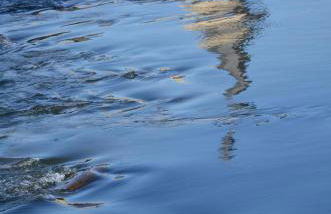 Chez Jeannette - Foto 13