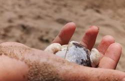 Villa Fabry - Foto 32