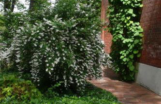 Pension Villa Fortuna - Foto 51