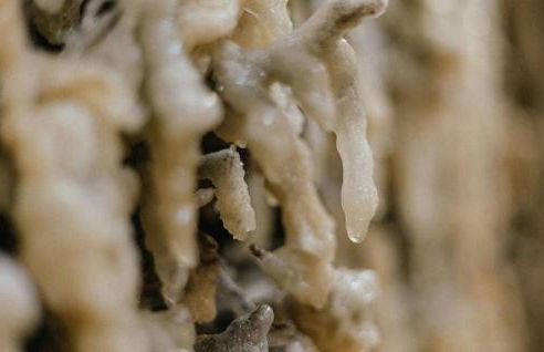 Salzturmzimmer - Foto 12