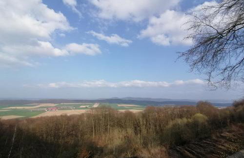 Lippoldsstube - Foto 5