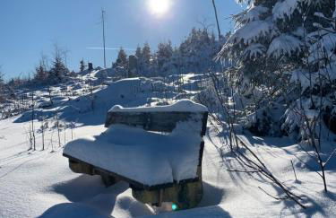 Rennsteig-Pension Trautwein - Foto 10