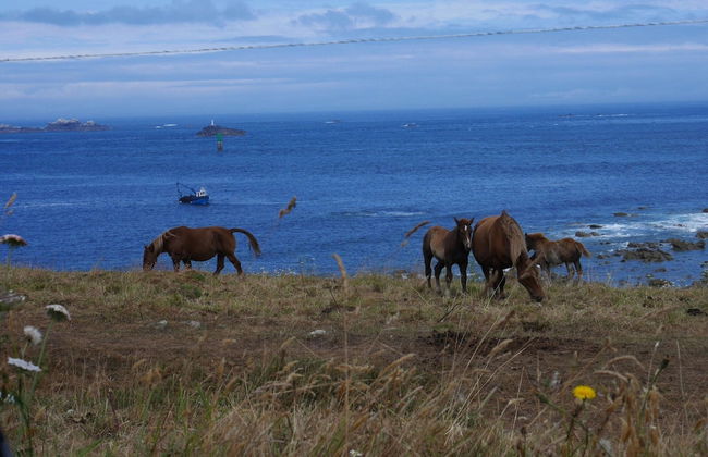 Comfortable Cottage Close to the Beach, Portsall, 2 Canoes - Foto 30
