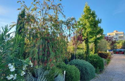 VILLA DA FONTE - BY MECO - Foto 46