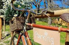 La Quercia e il Castagno Country & Relax - Foto 55