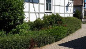 Feriendomizil Annette`s Scholle - Photo 2