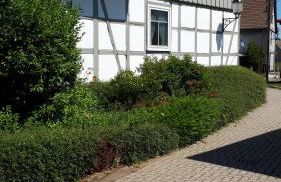 Feriendomizil Annette`s Scholle - Photo 2