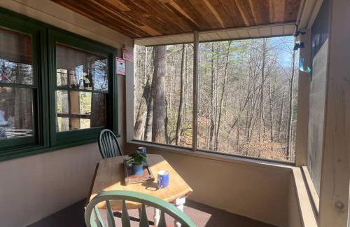 Private Mtn Love Shack w/ fast wifi, BBQ & view - Foto 21