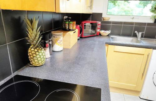 2 Single Beds, 1 BR Apartment - Foto 9