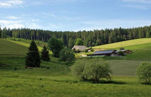 Lippenhof - Unter der Linde - Foto 23