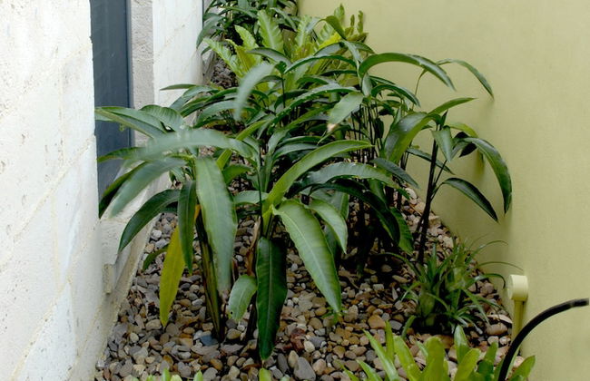 By the Beach B&B and Apartments - Foto 27